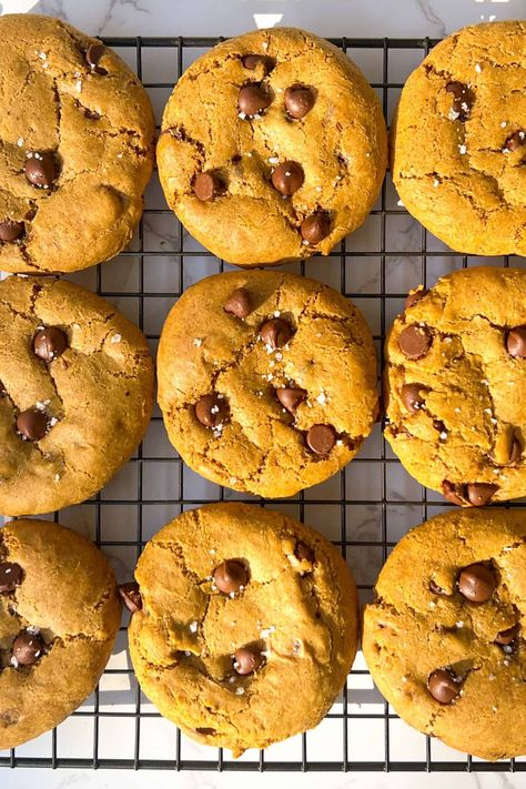 these gluten-free pumpkin chocolate chip cookies are the perfect fall treat. they're soft and chewy on the inside with a comforting, spiced molasses flavor. High Protein Banana Muffins, Healthy Cornbread Muffins, Protein Banana Muffins, Paleo Muffin Recipes, Banana Protein Muffins, Protein Muffin Recipes, Banana Protein, Healthy Muffin Recipes, Gluten Free Chocolate Chip