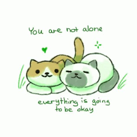 Inspirational Animal Quotes, Cute Animal Quotes, Neko Atsume, Be Okay, Wholesome Memes, Animal Quotes, Cheer Up, Happy Thoughts, Cat Gif