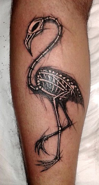 Skeleton flamingo tattoo Rabe Tattoo, Flamingo Tattoo, Skeleton Tattoo, Animal Skeletons, Skeleton Tattoos, Sweet Tattoos, Skin Art, Piercing Tattoo, Top Beauty Products