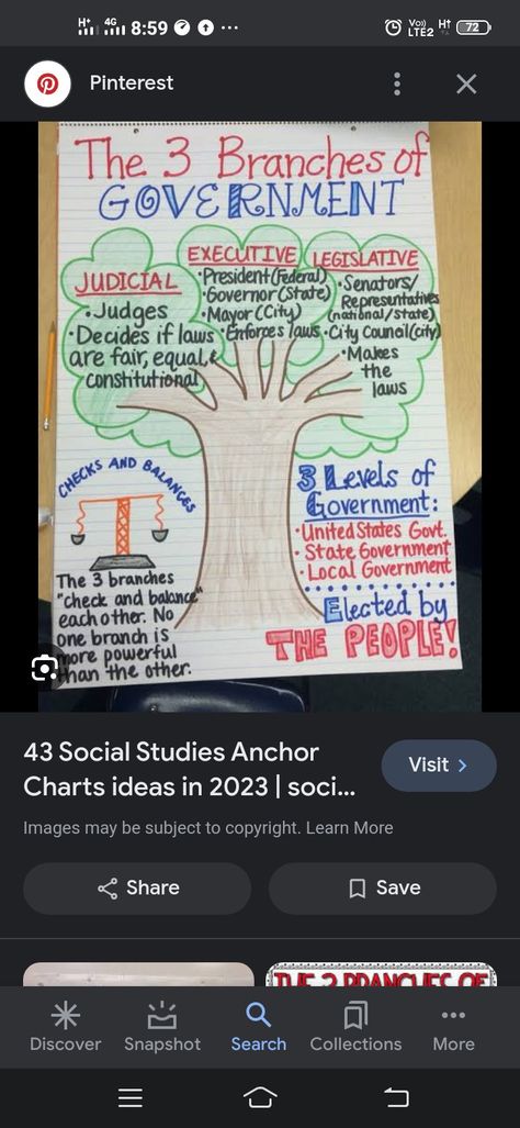 Levels Of Government, Constitutional Law, Best Islamic Images, Check And Balance, City Council, Islamic Images, Local Government, State Government, Social Studies