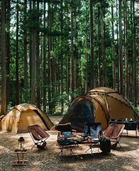 Wilderness Aesthetic, Camping Date, Cozy Camping, Camping Photo, Nostalgic Aesthetic, Solo Camping, Weekend Camping Trip, Camping Inspiration, Camping Nature