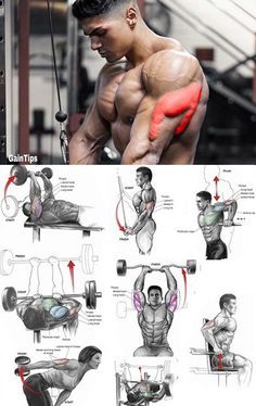 Triceps Workout  Triceps Workout Tricep Workout Gym, Big Biceps Workout, Bicep And Tricep Workout, Morning Gym, Trening Sztuk Walki, Gym Workout Planner, Gym Antrenmanları, Bodybuilding Workout Plan, Gym Workout Chart