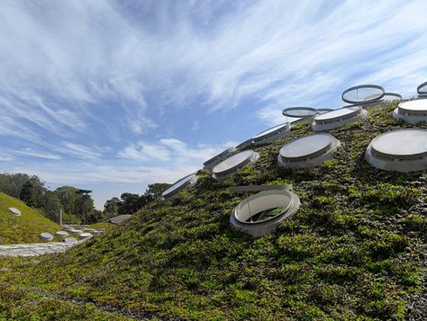 Science Sans, San Francisco Travel Guide, California Academy Of Sciences, Renzo Piano, Site Plans, New Building, Golden Gate Park, San Francisco Travel, Diagram Architecture