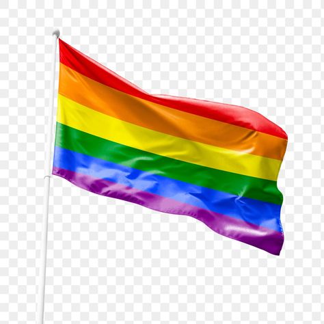 Flag Mockup, Graphic Design University, Lgbtq Flag, Flag Lgbt, Graphic Design School, Pride Png, Graphic Design Humor, Gay Flag, Game Websites