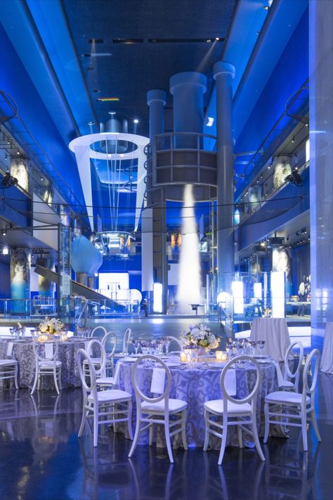 Host your next event at the Museum of Science & Industry in Chicago! Unique Venues Museum Of Science, Social Event, Museum Wedding, Unique Venues, Windy City, City Girl, Social Events, Private Event, Chicago Il