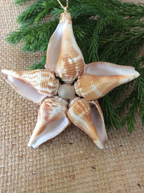 Beach Window, Star Window, Island Christmas, Seashell Christmas Ornaments, Christmas Beach, Seashell Projects, Window Hanger, Art Coquillage, Coastal Christmas Decor