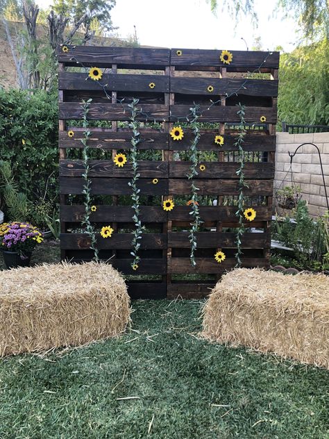 Pallet Theme Party, Country Decorating Ideas For Party, Sweet 16 Party Ideas Themes Country, Graduation Party Ideas Western Theme, Sweet 16 Decorations Western, Sweet 16 Country Party Ideas, Western Themed Graduation Party Ideas, Country Party Ideas Birthday Sweet 16 Western Theme, Sweet 16 Country Theme Ideas