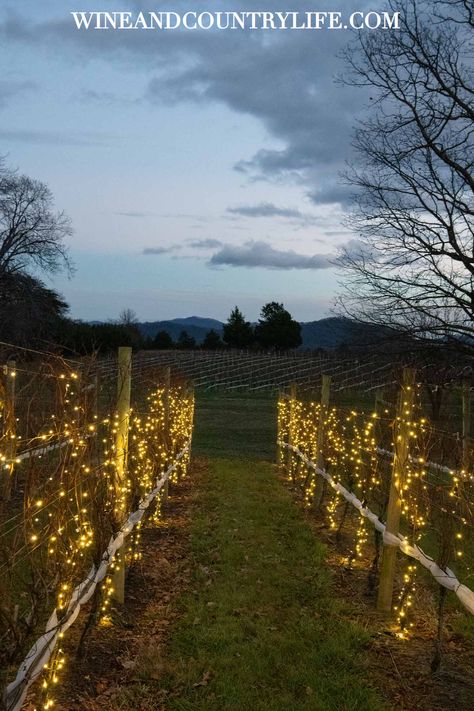 Winter Vineyard Wedding, Christmas Light Shows, Winery Party, Wine Vibes, Charlottesville Wineries, Virginia Christmas, Dream Proposal, Virginia Wine Country, Winter Lights