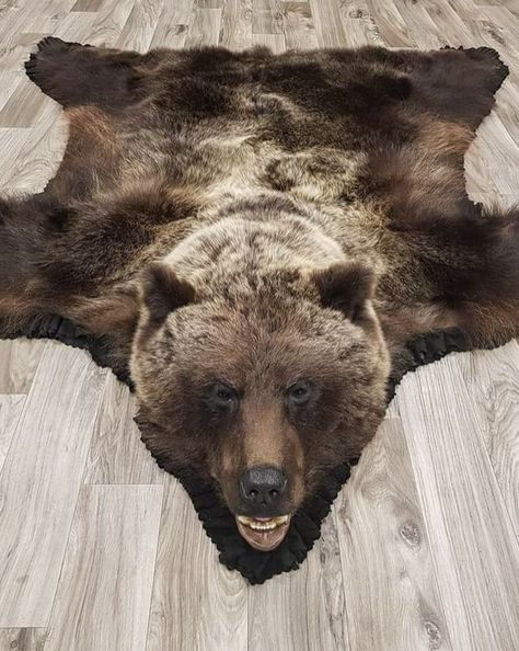 Bear Taxidermy, Addams Family Show, Tanning Hides, Bear Skin Rug, Animal Skin Rug, Wet Specimen, Trophy Rooms, Bear Rug, Diy Stairs