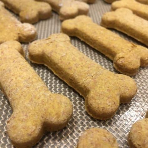 Peanut Butter Pumpkin Dog Treats - The Recipe Bandit Peanut Butter Pumpkin Dog Treats, Butterscotch Fudge, Pumpkin Peanut Butter, Healthy Dog Treats Homemade, Peanut Butter Dog Treats, Peanut Butter Pumpkin, Pumpkin Dog Treats, Dog Treats Homemade Recipes, Homemade Peanut Butter