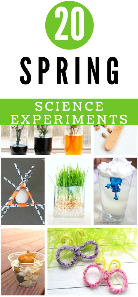 Here are the best science experiments that you should do during the spring months with your kids! Fun STEM activities and science experiments that are perfect for spring. April Stem Activities For Kids, Spring Science Experiments Preschool, Spring Activities For School Age Kids, April Kids Activities, Stem Spring Activities, Spring Steam Activities Elementary, Spring Stem Activities For Preschool, Spring Science Experiments For Kids, Spring Stem Activities Elementary