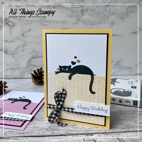 Stampin Up Cats, Stampin Up Cat Cards, Su Birthday Cards For Women, Love Cats Stampin Up Cards, Stampin Up Love Cats, Cards With Cats, Easy Card Ideas, Crazy Cats Cards, Cat Cards Handmade