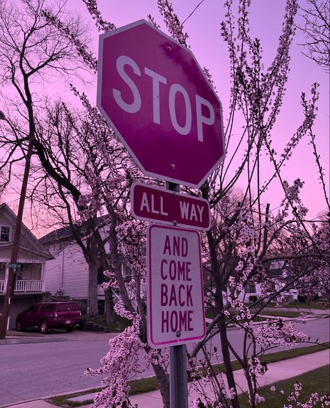 Stop sign purple sky aesthetic Break Core Aesthetic, Absurdism Aesthetic, Pink Weirdcore, Cute Creepy Aesthetic, Pink Dreamcore, Pink Creepy Aesthetic, Pink Technology, Creepy Pink Aesthetic, Type Of Aesthetics