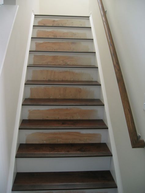 Installing Engineered Hardwood on Stairs – The How To Home Engineered Wood Stairs, Engineered Hardwood Stairs, Hardwood On Stairs, Stairs Hardwood, Flooring On Stairs, Hardwood Stair Treads, Diy Hardwood Floors, Stairs Covering, Wood Plank Flooring