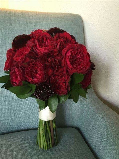 Burgundy Carnation Bouquet, Red Carnation Bouquet, David Austin Roses Bouquet, Garden Rose Bouquet Wedding, Red Rose Bouquet Wedding, Posy Bouquet, Bouquet Burgundy, Carnation Bouquet, Prom 2024