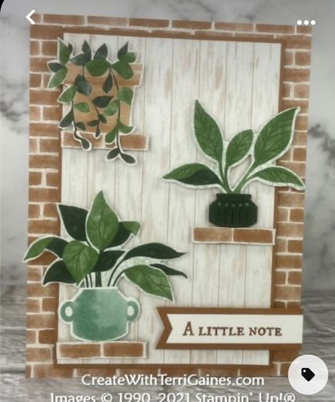 House Plant Birthday Cards, Succulent Cards Diy, Su Plentiful Plants Cards, Stampin Up Bloom Where Youre Planted, Plant Cards Diy, Stampin Up Plentiful Plants Cards, Plentiful Plants Stampin Up Cards, Stampin Up Plentiful Plants, Plant Cards