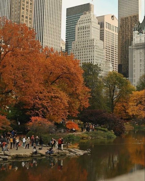 Nyc City Aesthetic, Goldenhour Aesthetic, Nyc Autumn, Fall In Nyc, Fall Nyc, Nyc City, Nyc Fall, Autumn In New York, Nyc Aesthetic