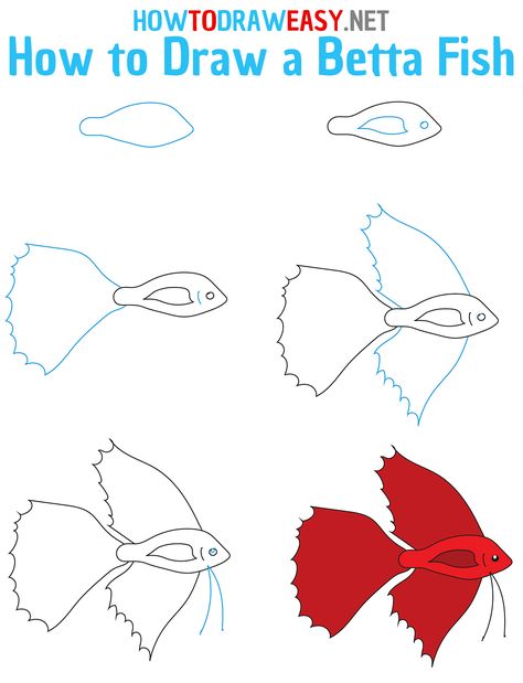 How to Draw a Betta Fish Step by Step #BettaFish #Drawings #FishDrawing #Sea #DrawingTutorials How To Draw A Beta Fish Step By Step, Beta Fish Drawing, Fish Drawing For Kids, How To Draw Fish, Fish For Beginners, Beginners Drawing, Koi Painting, Drawn Fish, Fish Drawing