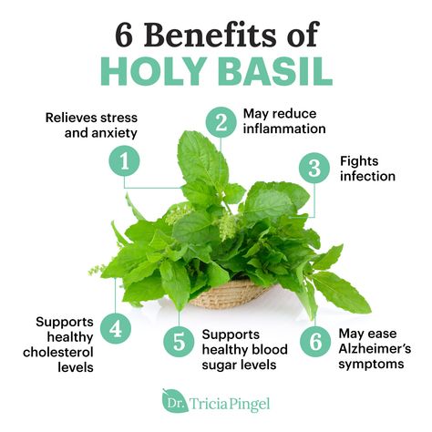 Let's talk about an herb that isn't covered quite as often as others yet still offers some incredible health benefits: holy basil. Used frequently in Ayurvedic medicine, it has many properties that can help you feel more relaxed and calm. It also fights harmful inflammation and infections while even supporting healthy cholesterol levels and brain health! Want to learn more? Head over to drpingel.com today! Holy Basil Benefits Health, Saw Palmetto Benefits, Basil Benefits, Holy Basil Benefits, Mood Boosting Foods, Cholesterol Symptoms, Plant Diy, Food Benefits, Medical Herbs