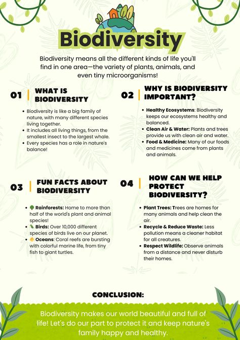 Dive into the amazing world of biodiversity, where every plant, animal, and microorganism plays a Special role in keeping our planet healthy and beautiful. From the towering trees in rainforests to the colorful fish in coral reefs, learn why biodiversity is so important and how we can all help protect it! 🌳🐠🦜 #Biodiversity #KidsEducation #NatureLovers #ProtectOurPlanet Biodiversity Project Ideas, Biodiversity Notes, Natural Resources Lesson, Biology Diagrams, Brochure Examples, Science Knowledge, Biodiversity Conservation, Plant Study, Evolutionary Biology