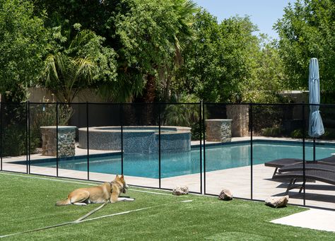 Keep your pets safe and secure with our expertly designed fences. Our removable, ASTM-certified fences offer a reliable barrier to protect pets around the pool area while enhancing your outdoor space. Made with powder-coated aluminum poles for durability and style, our fences are the perfect solution for pet-friendly safety.

Explore our options at www.asafepool.com or call 866-651-POOL (7665) to find the ideal fence for your home. Pool Safety Fence, Safety Fence, Pool Safety, Pet Safe, Pool Area, The Pool, Powder Coated, Outdoor Space, Pet Friendly