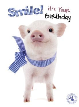 Pin by Tana Hiser on my fav pigs | Happy birthday pig, Cute happy birthday, Happy birthday cards Happy Birthday Pigs Pictures, Happy Bday Song, Happy Birthday Pig, Birthday Pig, Happy Birthday Animals, Pig Cute, Happy Birthday Kids, Birthday Greetings Friend, Happy Birthday Wishes Cake