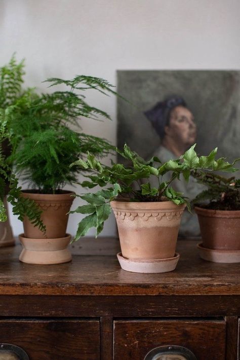 Bergs Potter Copenhagen, Parisian Interior Decor, Natural Homes, Interior Decorating Styles, Decorating Style, Decor Minimalist, Plant Mom, Plant Pots, Terracotta Pots