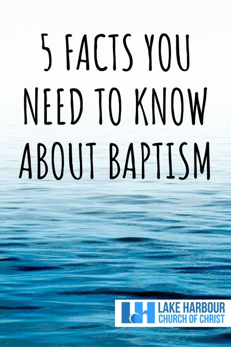 5 Facts You Need To Know About Baptism Baptism Quotes, Adult Baptism, Christian Baptism, Following Jesus, Biblical Teaching, Bible Devotions, Churches Of Christ, Bible Study Notes, Follow Jesus