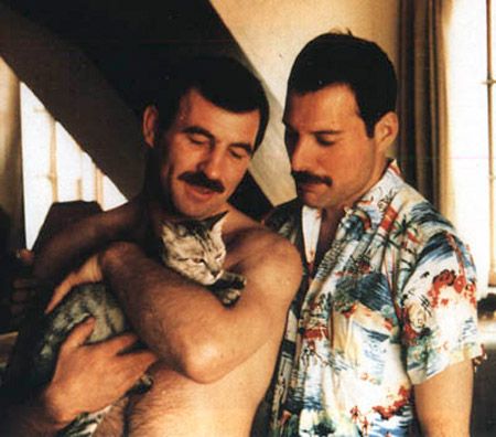 Freddie Mercury and Jim Hutton with meow meow kitty hiss, hiss, scratch!  love freddie mercury! Freddie And Jim, Men With Cats, Mary Austin, Photos Rares, Queen Bohemian Rhapsody, Freddy Mercury, Band Rock, We Will Rock You, Queen Freddie Mercury