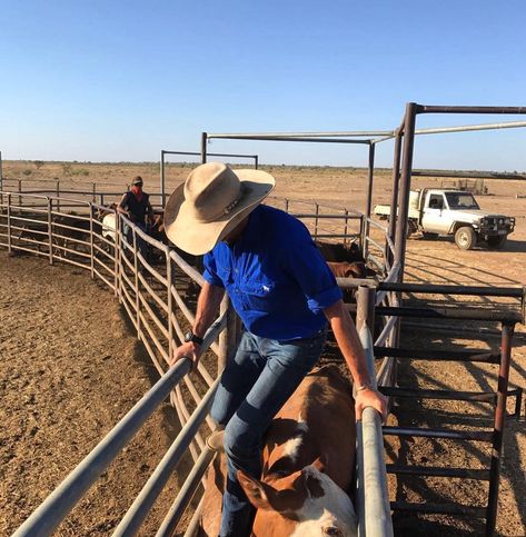 Country Life Photography, Cattle Station, Ringers Western, Country Bumpkin, Bull Riding, Struggle Is Real, Great Life, Country Boys, Future Life