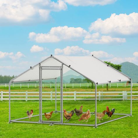 Tucker Murphy Pet™ Chiriac Chicken Run | Wayfair Wood Duck House, Outdoor Chicken Coop, Chicken Coop Large, Walk In Chicken Run, Rabbit Habitat, Walk In Chicken Coop, Duck Coop, Duck Or Rabbit, Chicken Nesting Boxes