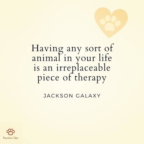 "Having any sort of animal in your life is an irreplaceable piece of therapy" - Jackson Galaxy Cat Therapy Quotes, Animal Related Quotes, Loving Animals Quotes, Animal Quotes Meaningful, Advocate Quotes, Presence Quotes, Inspirational Animal Quotes, Puppy Yoga, Galaxy Quotes