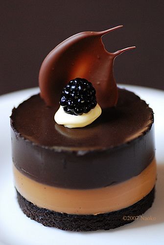 Mousse Dolce, Easy Chocolate Mousse, Chocolate Mousse Cake, Fancy Desserts, Fancy Food, Chocolate Dessert, Mousse Cake, Easy Chocolate, Chocolate Mousse