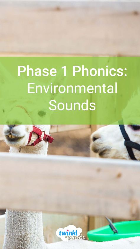 Learn more about what environmental sounds are and how you can support your child. This blog is a perfect guide to help you understand phonics, and engage your child in phonics activities at home. Which activity will you try first? Environmental Sounds Eyfs, Environmental Sounds Activities, Phase 1 Phonics, Phonics Learning, Sounds Activities, Phonics Videos, Listening Games, Preschool Phonics, Phonics Books