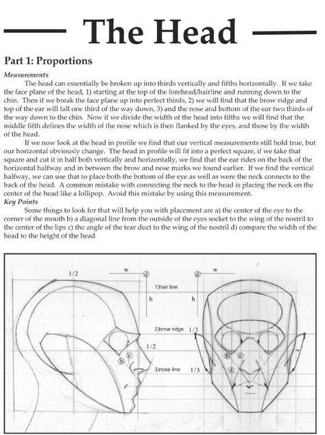 The Reilly Method, Reilly Head, Planes Anatomy, Reilly Abstraction, Frank Reilly, Reilly Method, Draw Fabric, Watts Atelier, Head Proportions