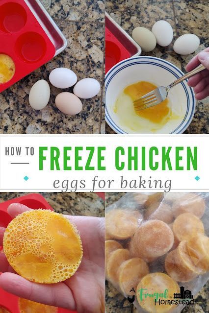 Learn how to freeze chicken eggs easily and safely. Freeze Chicken, Freezing Chicken, Freezing Eggs, Silicone Muffin Pan, Homegrown Food, Perfect Eggs, Egg Dish, Frozen Chicken, Chicken Eggs