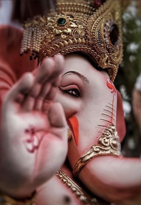 Photos Of Ganesha, Ganesh Ji Images, Ganpati Bappa Wallpapers, Jai Ganesh, Ganpati Bappa Photo, Ganesh Lord, Shri Ganesh Images, Happy Ganesh Chaturthi Images, Ganesh Chaturthi Images