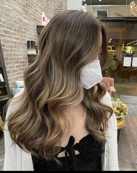 Balayage Hair Without Bleach, Beige Hair Highlights, Brown With Natural Highlights, Baby Lights Miel, Bruslight Hair, Beige Brown Balayage, Balliage Hair, Best Fall Hair Colors, Soft Brunette