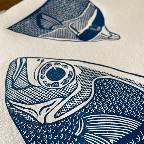 Hand printed "Cod & Angel Fish" lino print. Part of a limited edition set of 5. Printed using hand-mixed oil-based blue ink on heavyweight Indian Khadi paper. Size: 21cm x 30cm Packaged in a hard-backed envelope for protection.  As each print is hand printed, there may be minor differences, making each print unique. Fish Lino Print, Khadi Paper, Fish Ocean, Lino Art, Fish Motif, Theme Nature, Linocut Art, Ocean Fishing, Fishing Women