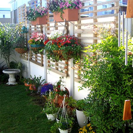 HOME DZINE Garden | Disguise or cover vibracrete or precast concrete walls Vibracrete Wall Ideas, Decorate Concrete Wall, Cover Ugly Fence, Garden Townhouse, Driveway Wall, Basement Patio, Hardscape Patio, Colorful Shrubs, Garden Unit