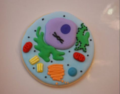 Cell cookie Edible Animal Cell, Edible Cell Project, Neuron Model, Edible Cell, Animal Cell Project, Science Cake, Cell Project, Cells Project, Graduation Party Planning