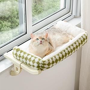 Amazon.com : MEWOOFUN Cat Window Sill Perch for Indoor Cats, One-Step Sliding Clamping Slot Adjustment Cat Window Hammock with Removable Covers, Cat Bed for Windowsill & Bedside (Large Green Cushion Bed (Hook)) : Pet Supplies Cat Window Hammock, Cat Window Perch, Window Perch, Cushion Bed, Cat Window, Cat Perch, Cat Hammock, Indoor Cats, Cat Shelves