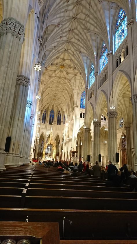 Saint Patrick's Cathedral, New York City Pictures In New York, Christian Photography, Church Pictures, Cat Litter Box, Big Apple, Pretty Selfies, Cat Litter, Litter Box, St Patricks