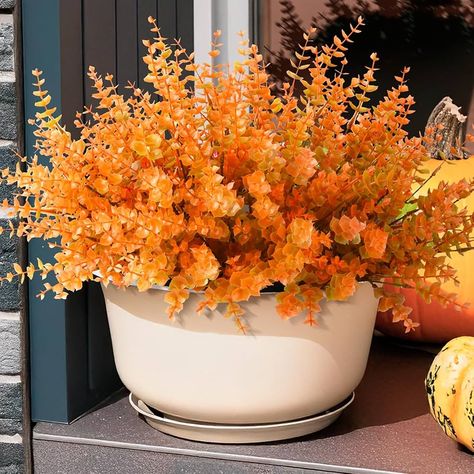 Amazon.com: Artificial Faux Mums Plants Flowers for Fall Outdoor Decoration,12 PCS Autumn Eucalyptus Plants Fake Plastic Boxwood Shrubs Realistic UV Resistant for Front Porch Patio Garden Home Decor(Dark Brown) : Home & Kitchen Boxwood Shrubs, Front Porch Patio, Orange Eucalyptus, Planting Mums, Box Wood Shrub, Fall Mums, Fall Outdoor Decor, Fall Outdoor, Plants Flowers