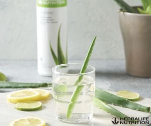 Herbalife Aloe, Herbalife Nutrition Club, Herbalife Distributor, Nutrition Club, Improve Nutrition, Herbalife Nutrition, Aloe Vera Juice, Health Coach, Nutritious Meals