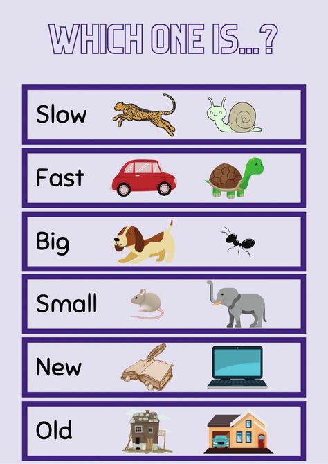 Slow, fast, big, small, new, old worksheet Fast And Slow Worksheet, English Kids Worksheet, Fast And Slow Activities Preschool, English Games For Kids, Teach English To Kids, English For Kids, Reading Comprehension For Kids, English Worksheets For Kindergarten, Grammar For Kids