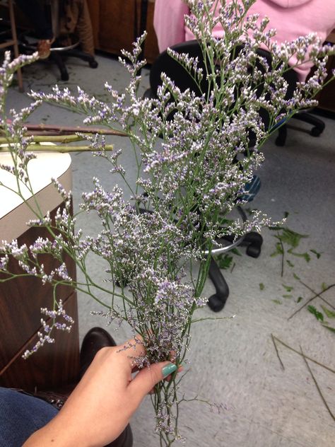 Limonium (sea lavender) Winter Lavender, Thursday Dinner, Sea Lavender, Filler Flowers, Perennial Flower, Flower Identification, Lifestyle Goals, Florist Shop, Wax Flowers