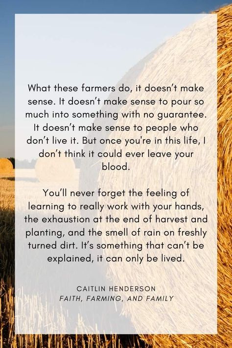 Self Sufficient Quotes, Self Sufficient Living, Field Meals, Living Quotes, Smell Of Rain, Farm Wife, Self Sufficient, Farmer Wife, Garden Quotes