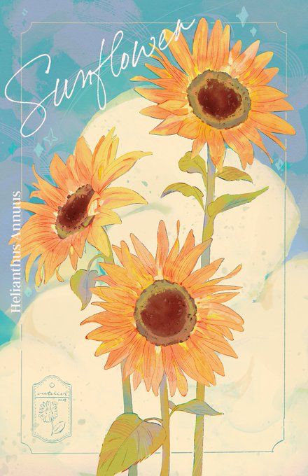 Sunflower Illustration, Sunflower Drawing, Favorite Flowers, Cute Wallpaper Backgrounds, Scenery Wallpaper, Digital Wallpaper, Fairy Tail, Flower Drawing, Beautiful Artwork