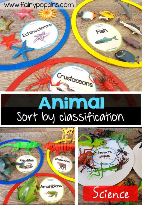 Animal Sort and Classify | Fairy Poppins Animal Types Activities, Animal Classification Activities, Animal Classification Activity, Fairy Poppins, Classifying Animals, Animal Habitat, Science Centers, Animal Lessons, Sorting Mats